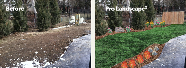 landscaping renovation