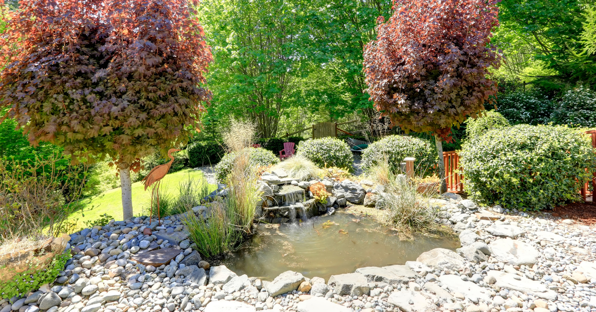Suburban Landscape Management - Business Photo