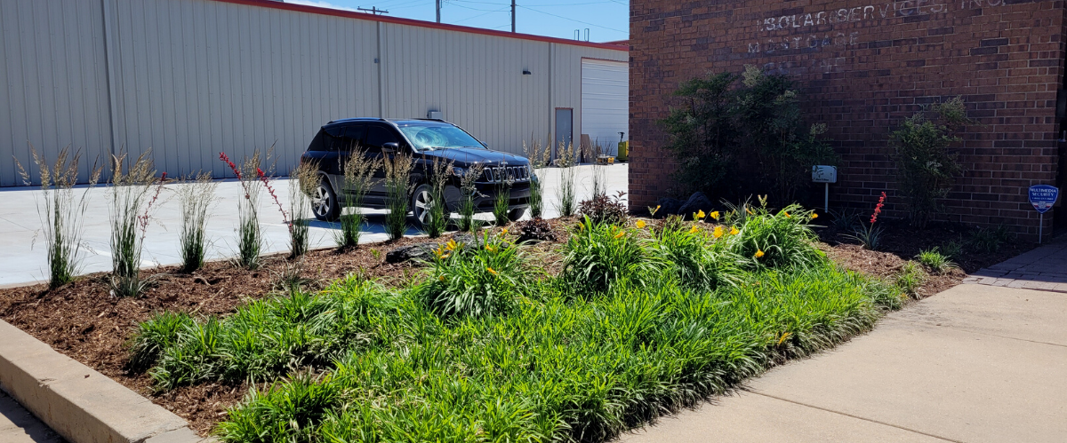 Garden bed at local Wichita business