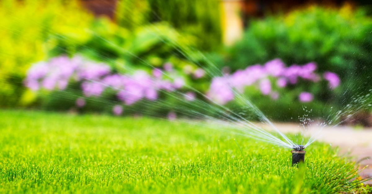 yard sprinkler system